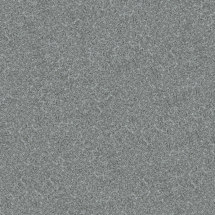 G1066020L  G1066020R