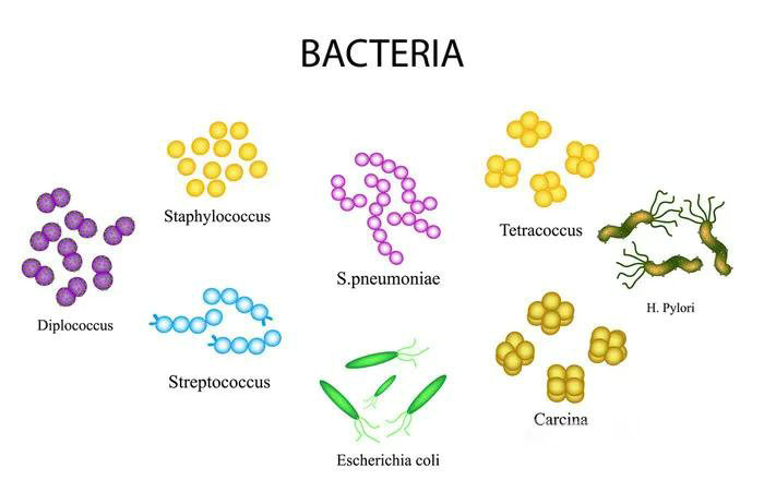 仿古磚加盟,仿古磚招商,仿古磚十大品牌,金達雅瓷磚,噴墨磚